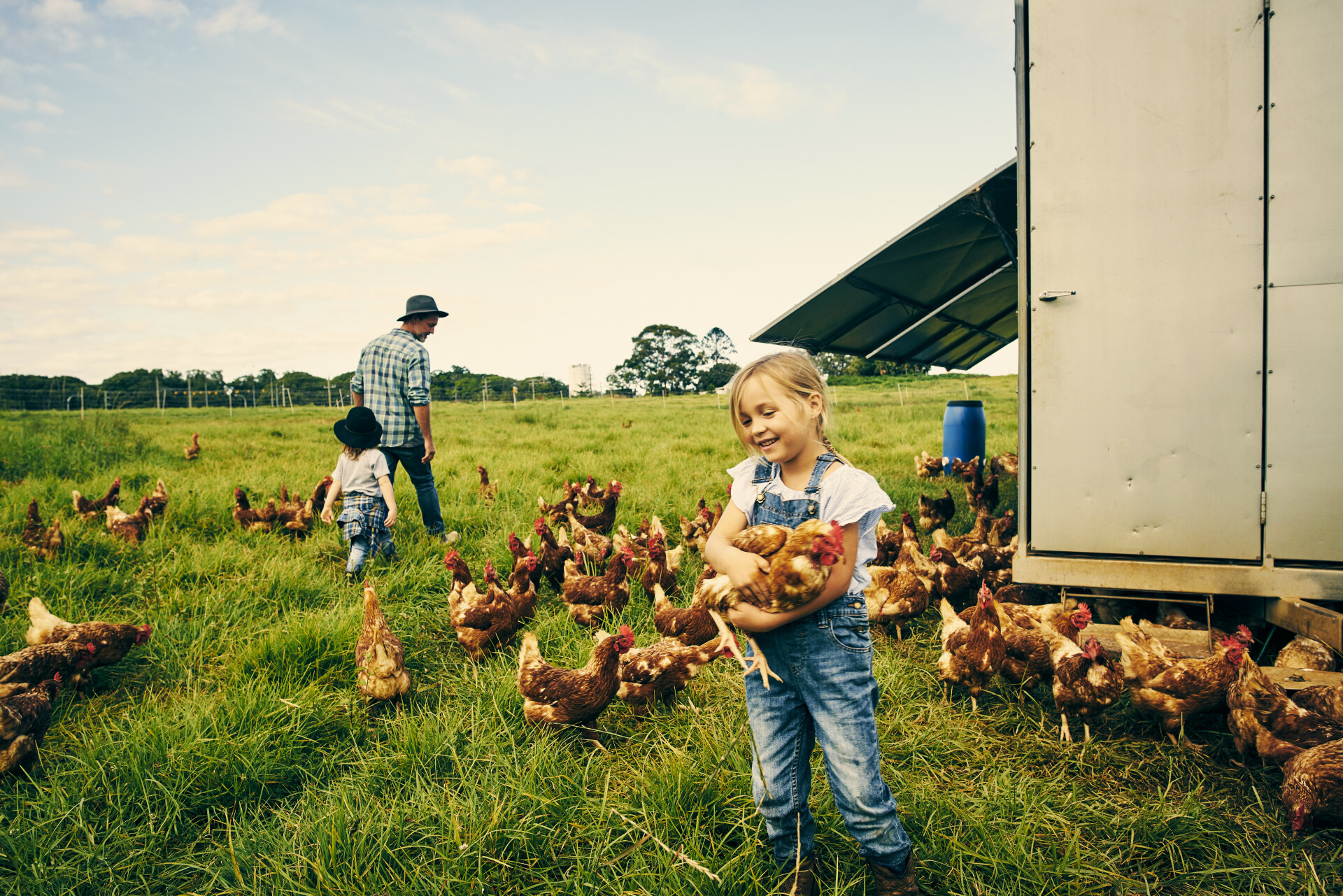 A young girl hugs a chicken while standing in a pasture surrounded by free range chickens